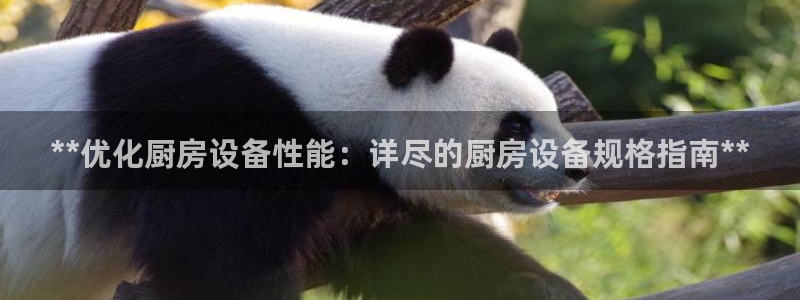 尊龙凯时ag旗舰厅：**优化厨房设备性能：详尽的厨房设备规格