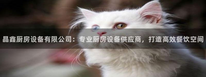 z6尊龙平台是哪里的：晶鑫厨房设备有限公司：专业厨房设备供应