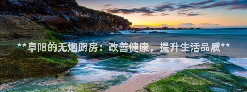 尊龙会：**阜阳的无烟厨房：改善健康，提升生活品质**