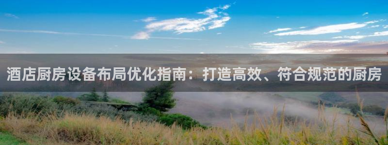 尊龙凯时捕鱼游戏能玩吗：酒店厨房设备布局优化指南：打造高效、
