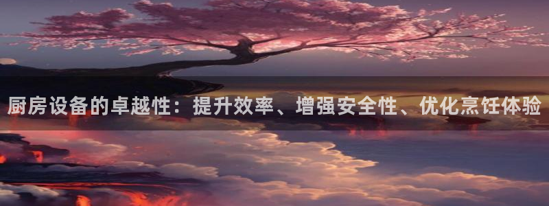 尊龙手机版：厨房设备的卓越性：提升效率、增强安全性、优化烹饪