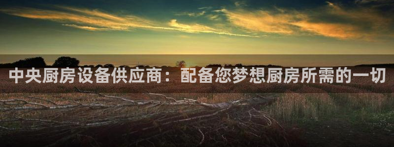 尊龙凯时怎么注册：中央厨房设备供应商：配备您梦想厨房所需的一