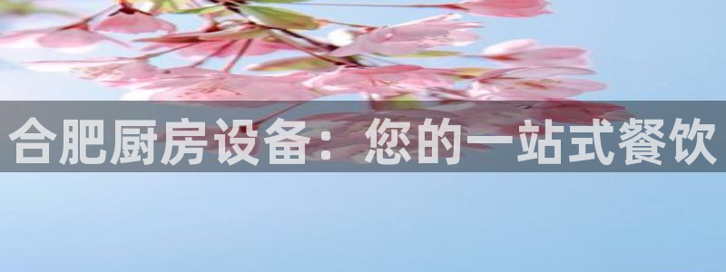 凯时尊龙官网网址：合肥厨房设备：您的一站式餐饮