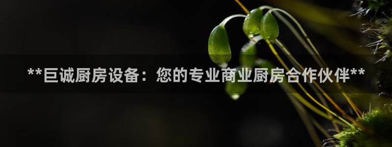凯时效果怎么样：**巨诚厨房设备：您的专业商业厨房合作伙伴*