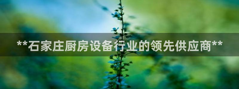 尊龙d88平台登录：**石家庄厨房设备行业的领先供应商**