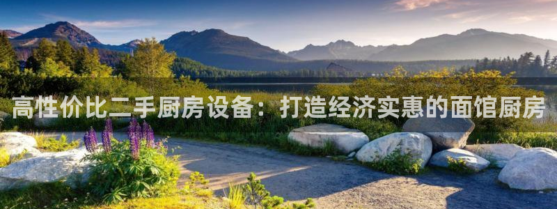 尊龙游戏中心：高性价比二手厨房设备：打造经济实惠的面馆厨房