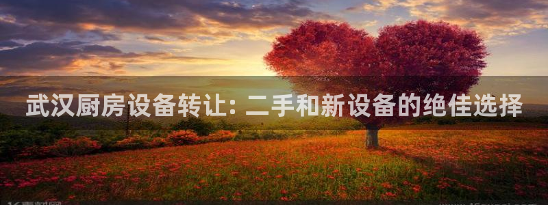 尊龙官网入口：武汉厨房设备转让: 二手和新设备的绝佳选择