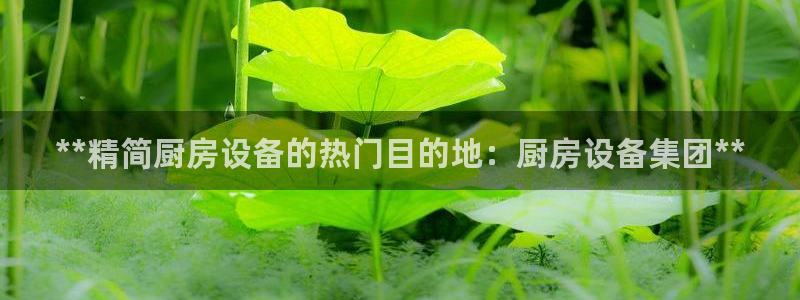尊龙凯时合法吗?：**精简厨房设备的热门目的地：厨房设备集团