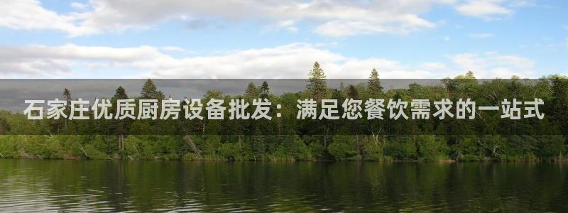 尊龙凯时官网入口：石家庄优质厨房设备批发：满足您餐饮需求的一