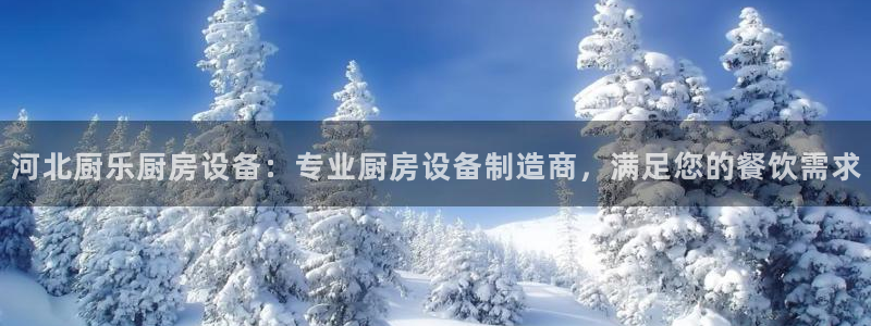 凯时游戏官方网站：河北厨乐厨房设备：专业厨房设备制造商，满足