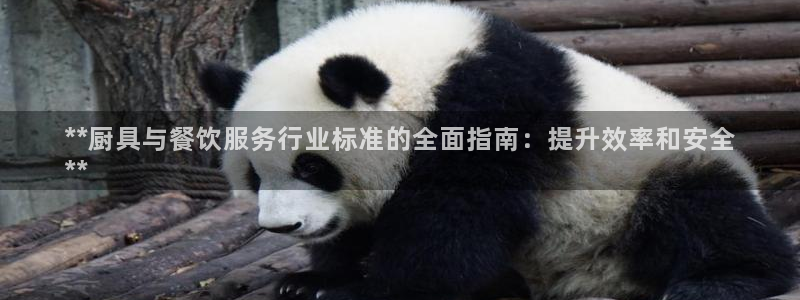 尊龙娱官网赢来就送38：**厨具与餐饮服务行业标准的全面指南