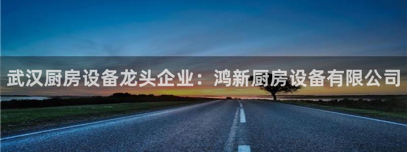 尊龙凯时有限公司：武汉厨房设备龙头企业：鸿新厨房设备有限公司