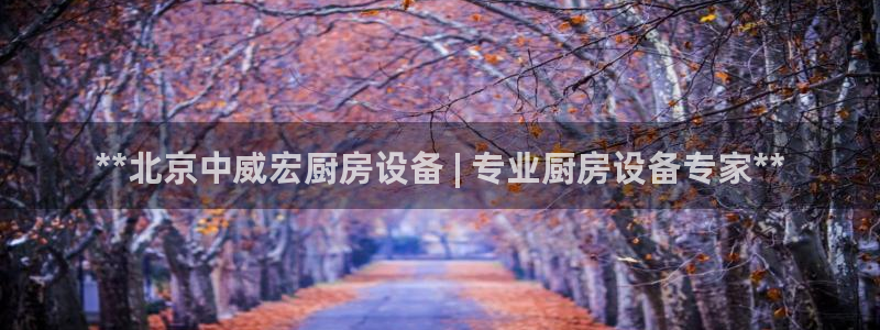 尊龙网页：**北京中威宏厨房设备 | 专业厨房设备专家**
