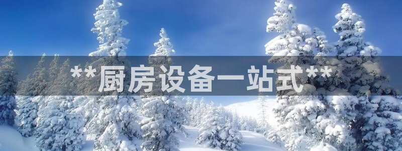 下载尊龙：**厨房设备一站式**