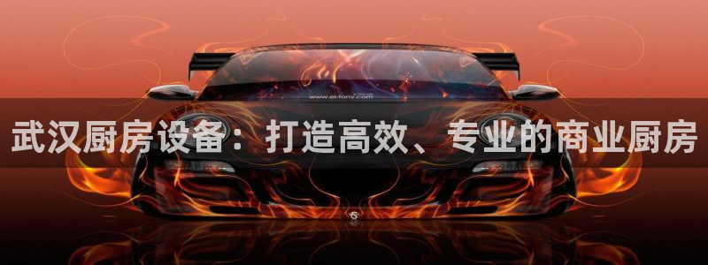 尊龙凯时有限公司：武汉厨房设备：打造高效、专业的商业厨房