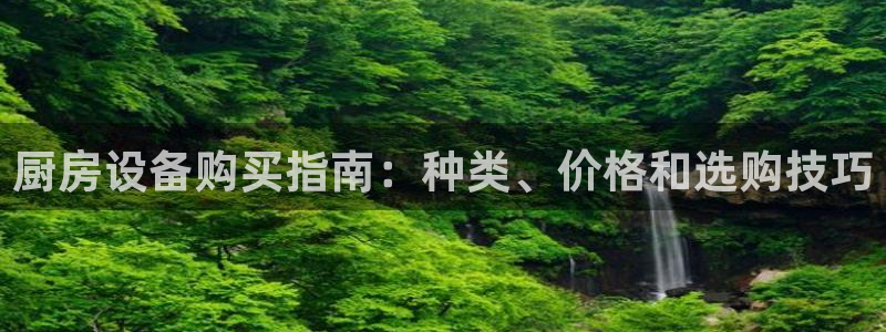 尊龙官网注册：厨房设备购买指南：种类、价格和选购技巧