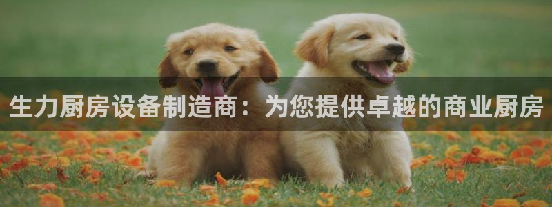 国际凯时ag优质运营商：生力厨房设备制造商：为您提供卓越的商