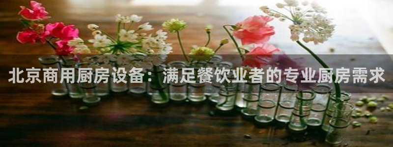 尊龙凯时官网平台：北京商用厨房设备：满足餐饮业者的专业厨房需