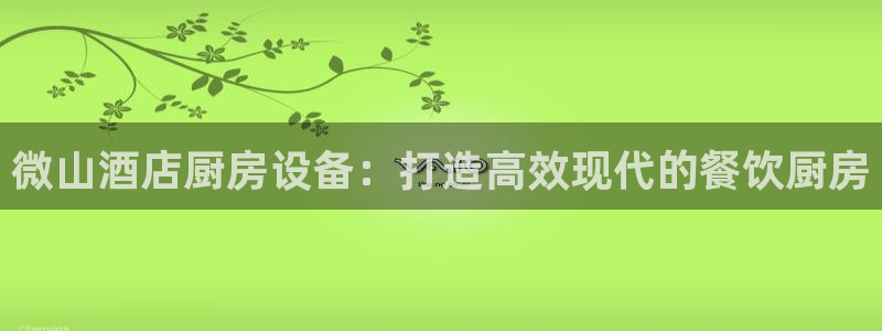 d88尊龙官网登录免费下载：微山酒店厨房设备：打造高效现代的