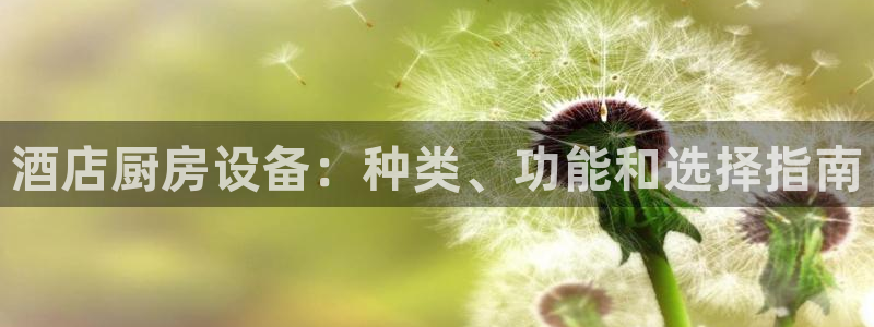 尊龙d88现金可来就送38：酒店厨房设备：种类、功能和选择指