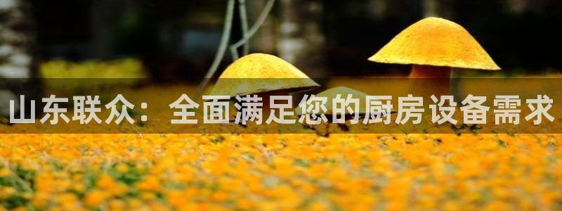尊龙官方网址：山东联众：全面满足您的厨房设备需求