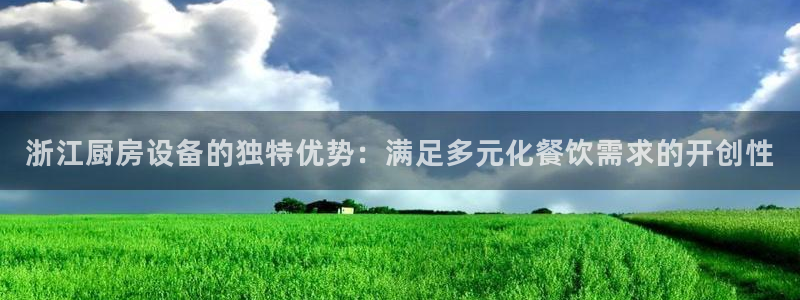 尊龙AG旗舰店：浙江厨房设备的独特优势：满足多元化餐饮需求的