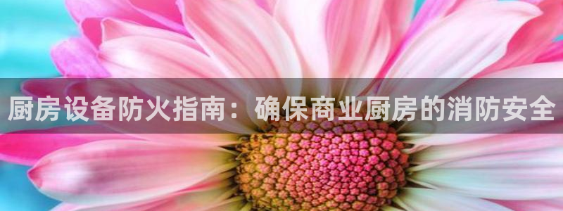 尊龙旗舰店：厨房设备防火指南：确保商业厨房的消防安全