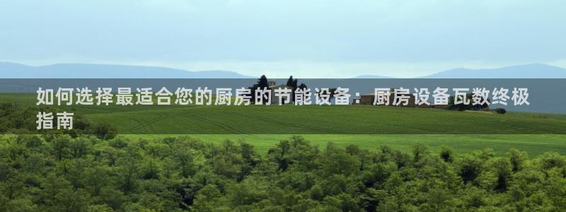 尊龙人生就是博D88：如何选择最适合您的厨房的节能设备：厨房