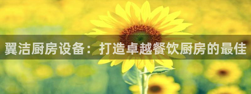 尊龙人生就是博ag：翼洁厨房设备：打造卓越餐饮厨房的最佳