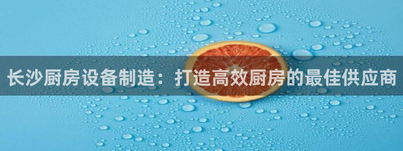 尊龙集团有限公司是国企吗：长沙厨房设备制造：打造高效厨房的最