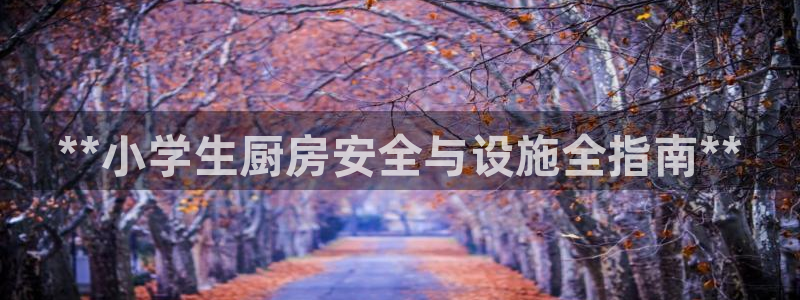尊龙官方平台：**小学生厨房安全与设施全指南**