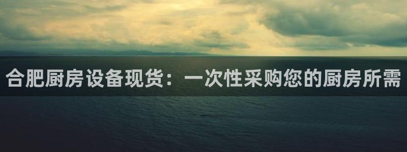 z6com尊龙凯时代理：合肥厨房设备现货：一次性采购您的厨房