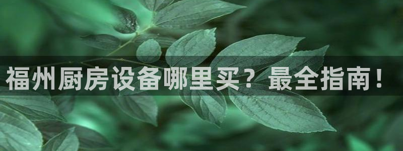 尊龙凯时ag旗舰厅登陆：福州厨房设备哪里买？最全指南！