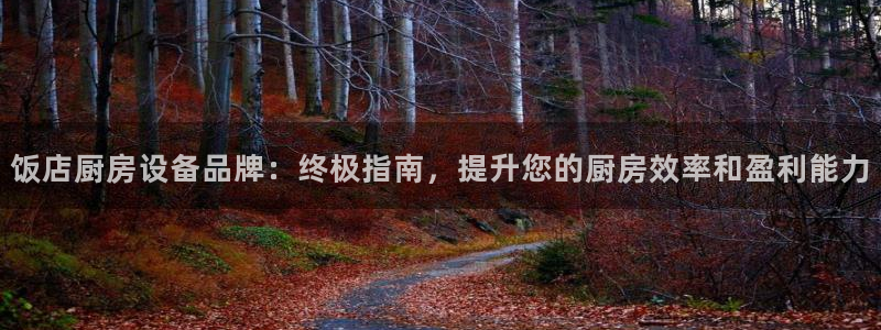 尊龙凯时美金能提取吗：饭店厨房设备品牌：终极指南，提升您的厨