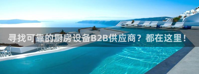 尊龙凯时人生就是搏官：寻找可靠的厨房设备B2B供应商？都在这