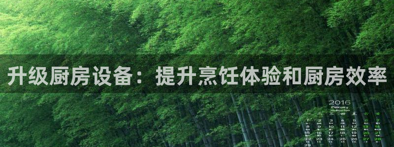 尊龙凯时有封银行卡的吗：升级厨房设备：提升烹饪体验和厨房效率