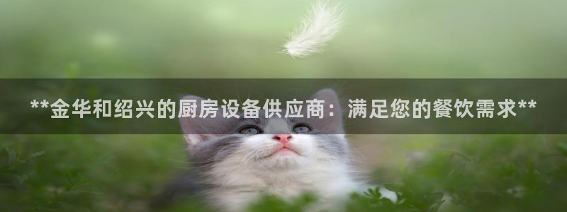 尊龙人生就是博登录首页：**金华和绍兴的厨房设备供应商：满足