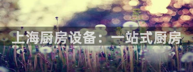 尊龙客服：上海厨房设备：一站式厨房