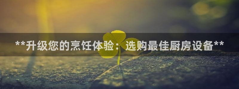 尊龙尊龙：**升级您的烹饪体验：选购最佳厨房设备**