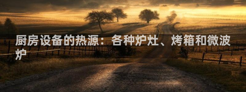 尊龙专访视频：厨房设备的热源：各种炉灶、烤箱和微波
炉