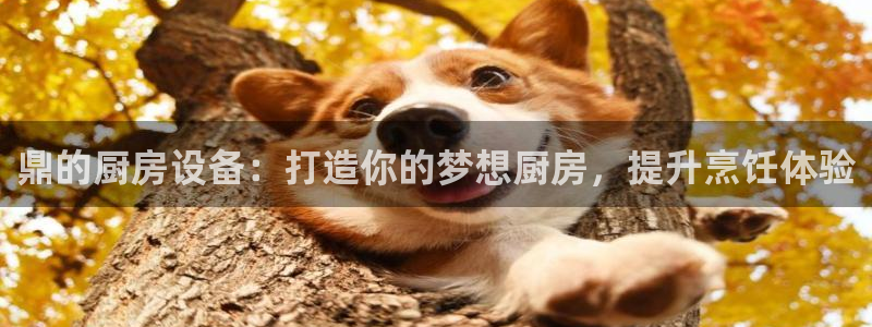 尊龙集团：鼎的厨房设备：