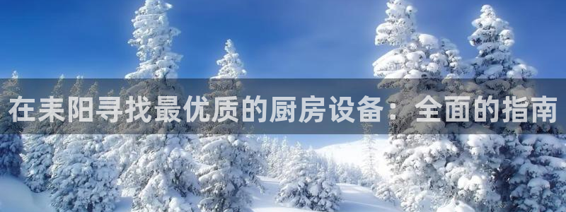 尊龙官方平台是正品吗：在耒阳寻找最优质的厨房设备：全面的指南