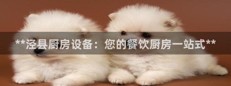 凯时官网手机版首页：**泾县厨房设备：您的餐饮厨房一站式**