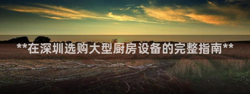 尊龙凯时 - 人生就是搏有假吗：**在深圳选购大型厨房设备的