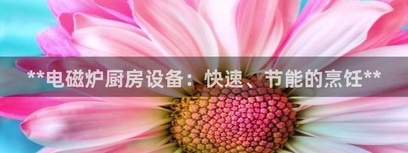 尊龙ag旗舰厅登陆：**电磁炉厨房设备：快速、节能的烹饪**