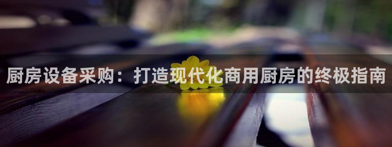 尊龙凯时能不能提现?：厨房设备采购：打造现代化商用厨房的终极