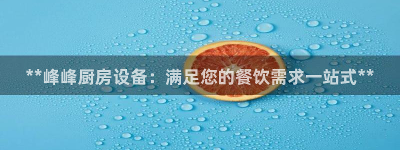 尊龙官网网页版：**峰峰厨房设备：满足您的餐饮需求一站式**