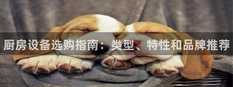 尊龙凯时产品系列：厨房设备选购指南：类型、特性和品牌推荐