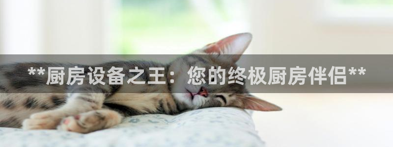 尊龙多少岁：**厨房设备之王：您的终极厨房伴侣**