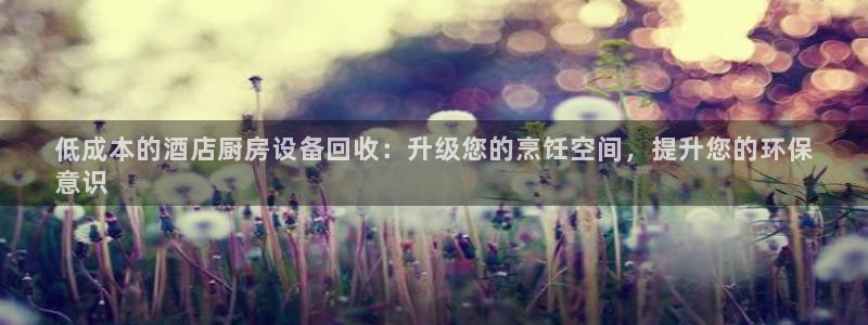尊龙集团：低成本的酒店厨房设备回收：升级您的烹饪空间，提升您